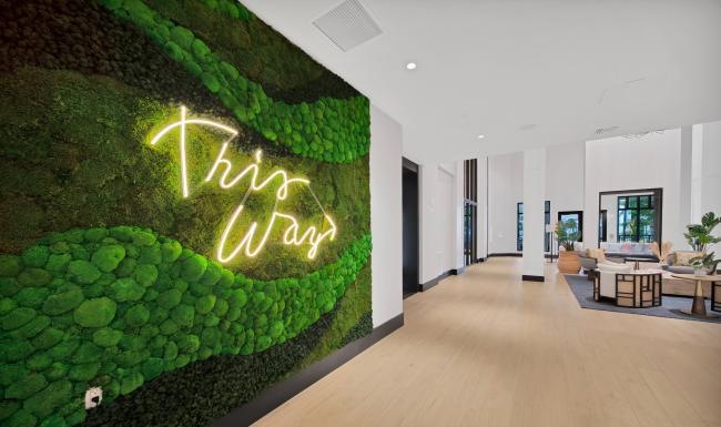 neon sign on wall with greenery